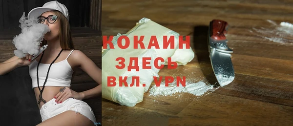 шишки Корсаков