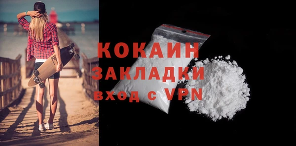 шишки Корсаков