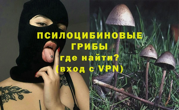 шишки Корсаков