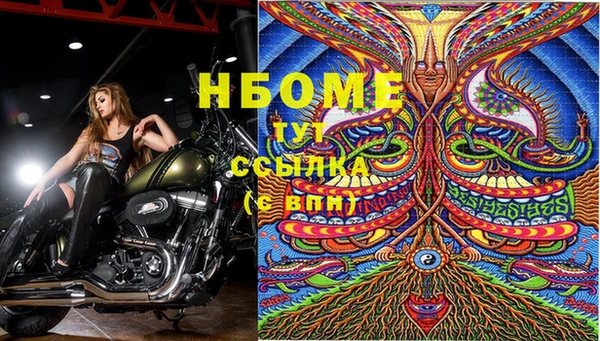 шишки Корсаков