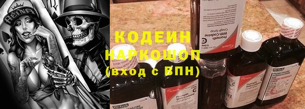 дживик Киренск