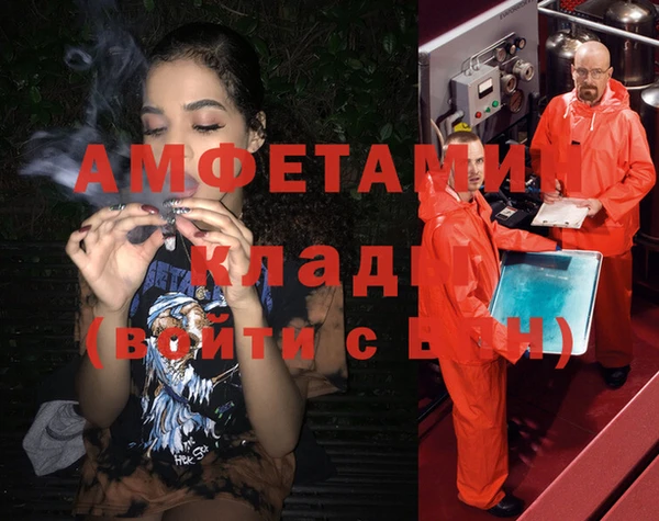 шишки Корсаков